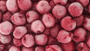 نمایندگی یخچال فریزر اکسپریال در اصفهان