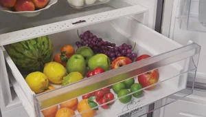 دفترچه راهنمای یخچال فریزر ایندزیت