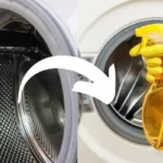 تمیز کردن لاستیک لباسشویی